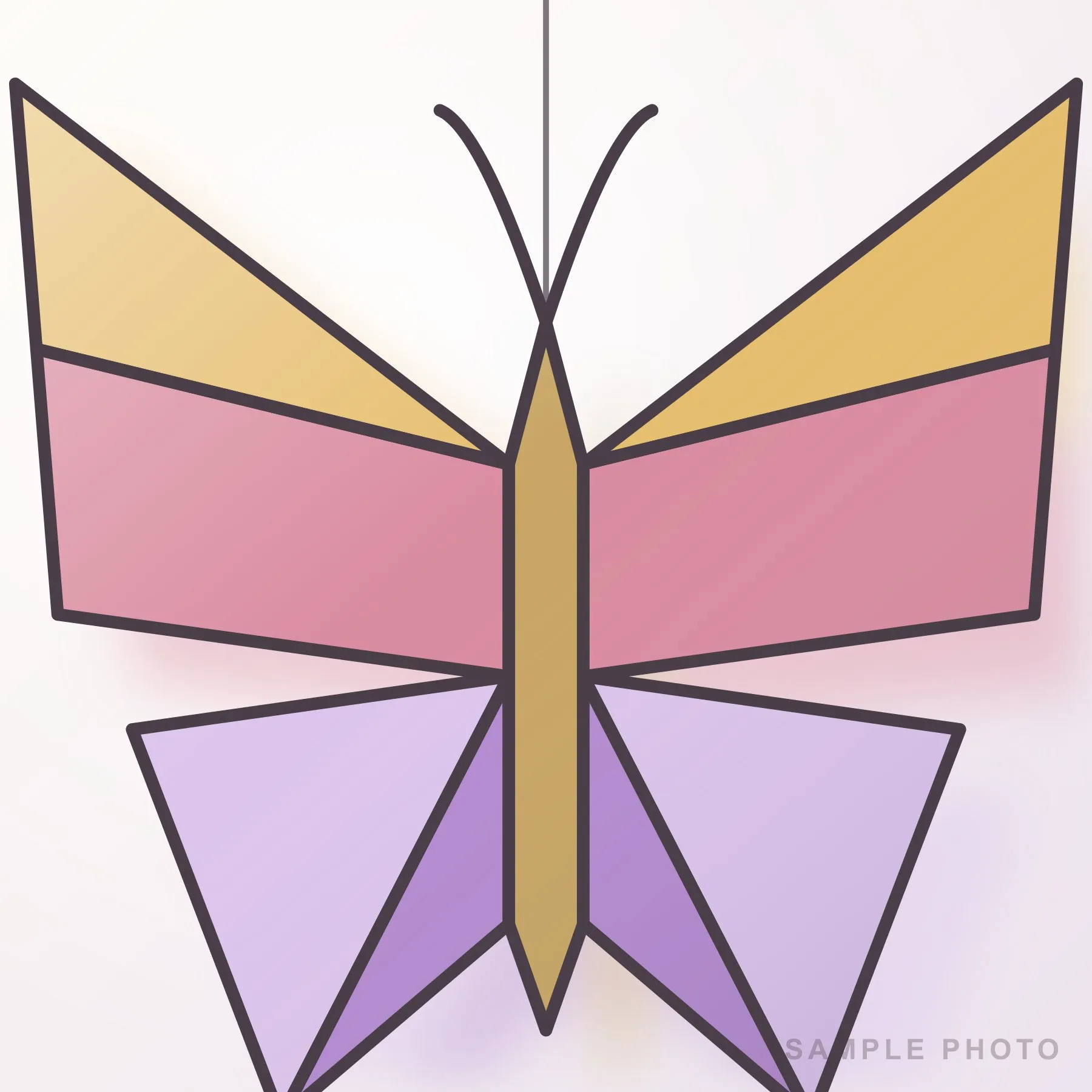 Little Moth, photo 2 of 2